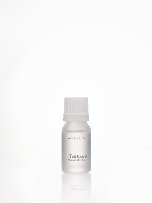 Aromatica Tea Tree Essential Oil in a frosted bottle with a white ribbed cap, reflected on a white surface