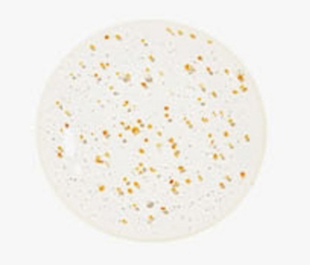 PLU body scrub wash texture shown as a round clear gel sample dotted with small golden scrub particles