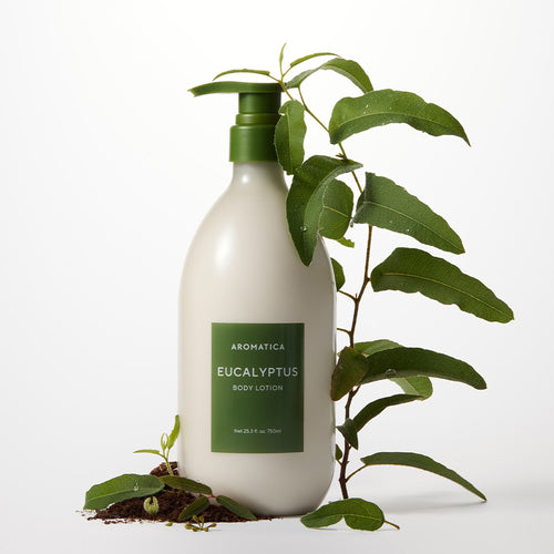 AROMATICA Eucalyptus Body Lotion standing beside a leafy green branch, with loose leaves and soil at its base.