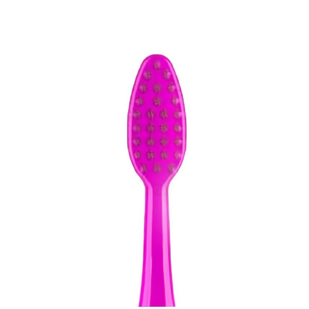 WEDENT Mini Head Toothbrushes, Regular Bristles, 40 Count