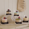 Songwol Mini mousse cake towels in five colours, displayed in clear cake packaging on a draped cream cloth