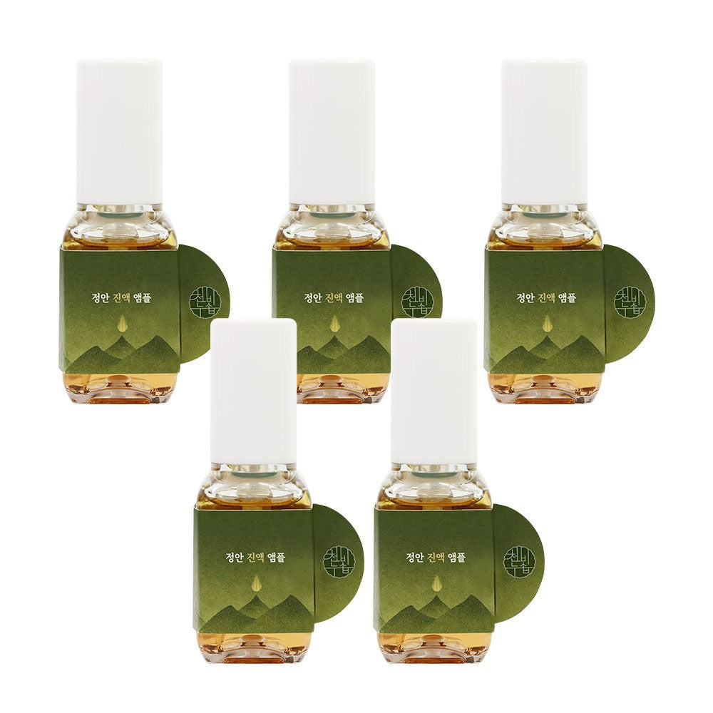Gesichtspflege Cheonbinusop Jeongango — Produktansicht