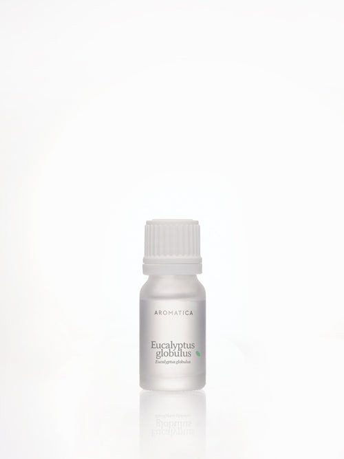 Aromatica Eucalyptus Globulus essential oil in a frosted bottle with a white cap, green label accent and reflection